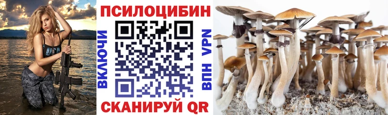 mega tor  Ясный  Галлюциногенные грибы Psilocybine cubensis 